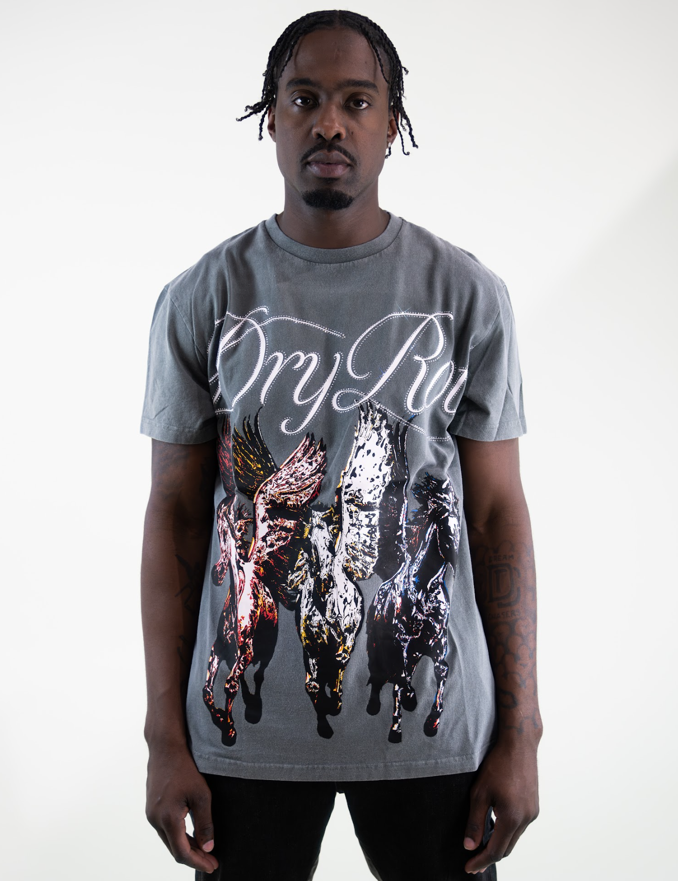 DRY ROT PEGASUS TEE GREY