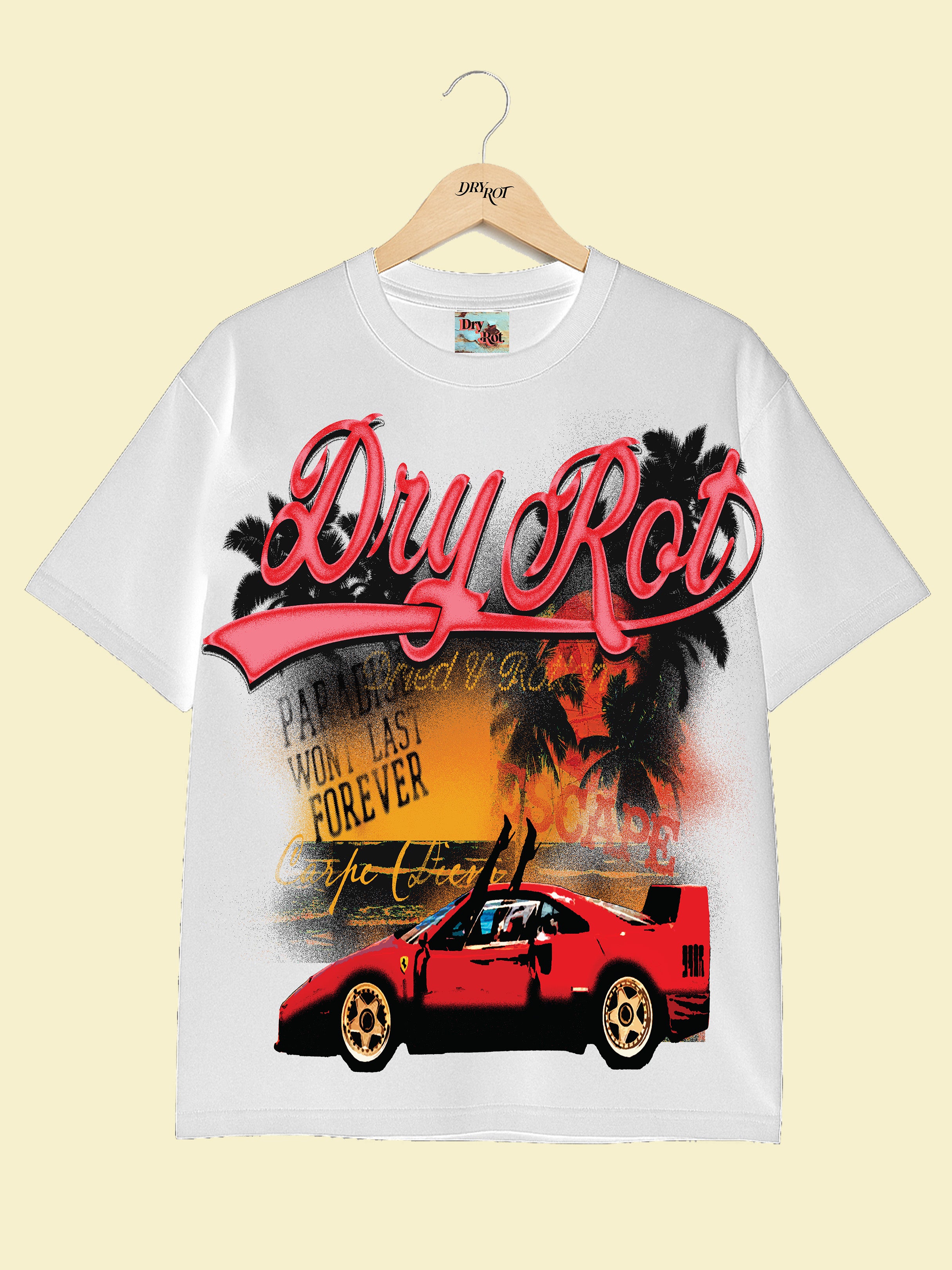 DRY ROT IN THE MOMENT TEE WHITE