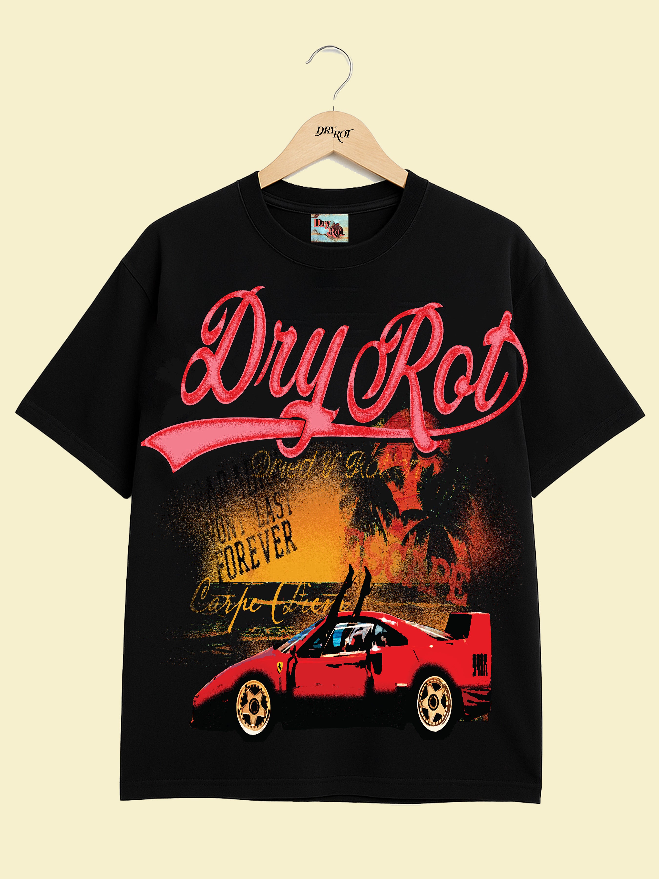 DRY ROT IN THE MOMENT TEE BLACK