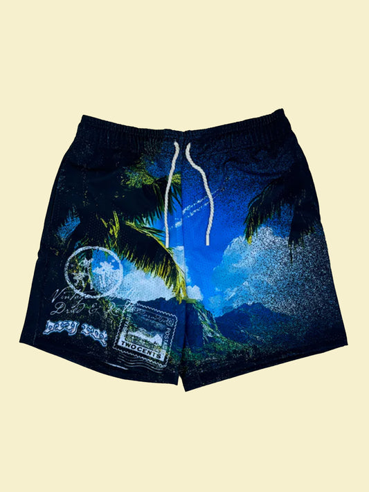 DRY ROT VIEWS FROM MESH SHORTS