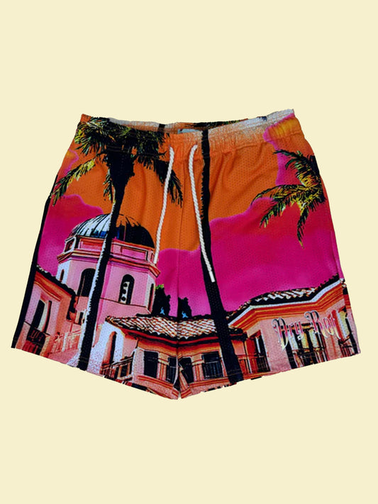 DRY ROT STASH HOUSE MESH SHORTS